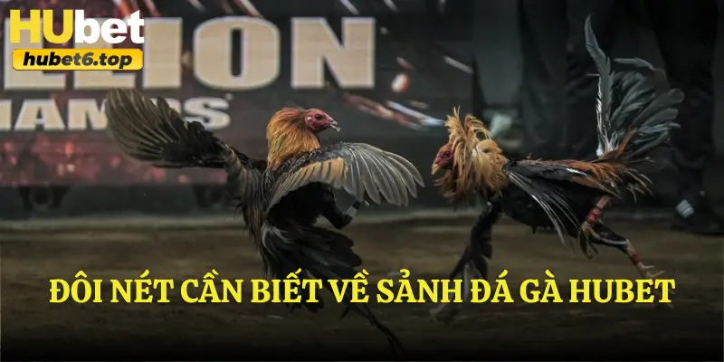 Đôi nét cần biết về sảnh đá gà Hubet