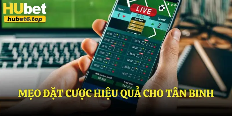 Mẹo đặt cược hiệu quả cho tân binh