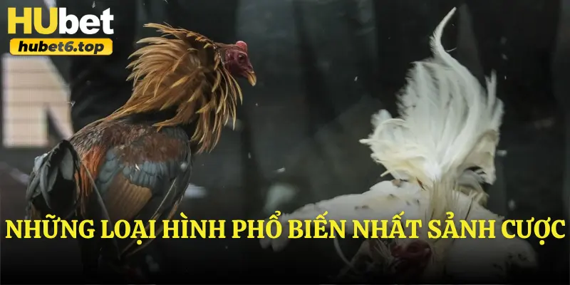 Những loại hình phổ biến nhất sảnh cược